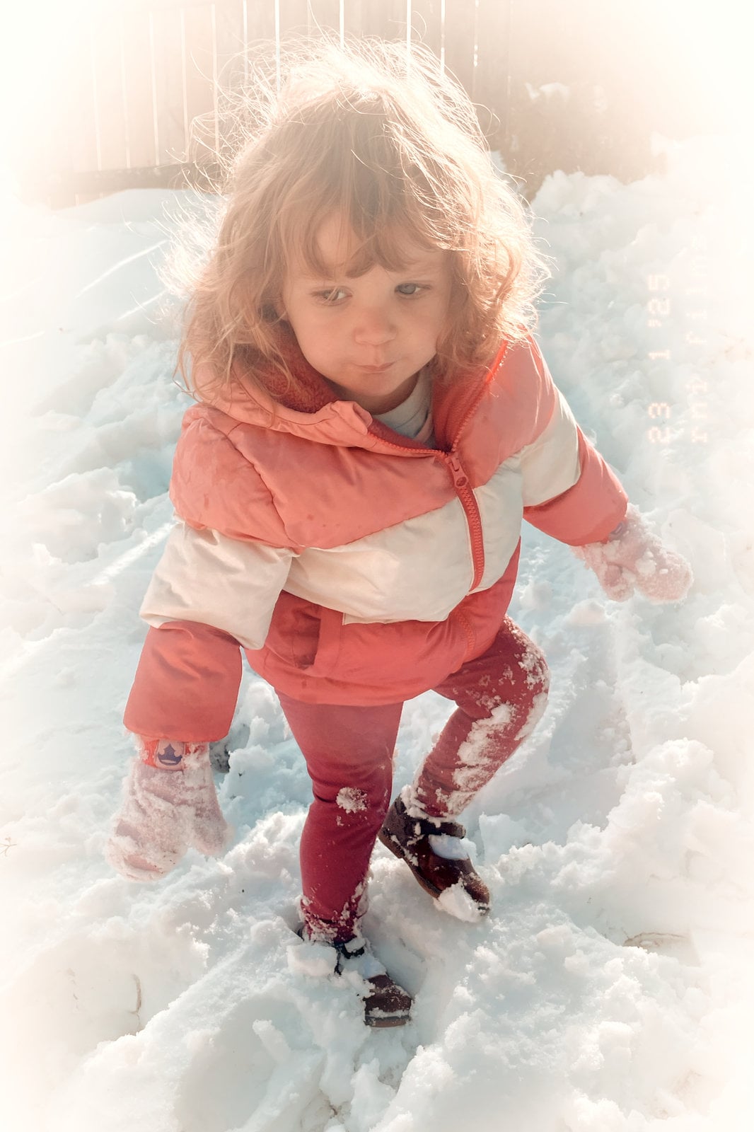 Snow day!